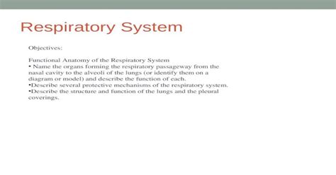 Ppt Respiratory System Objectives Functional Anatomy Of The