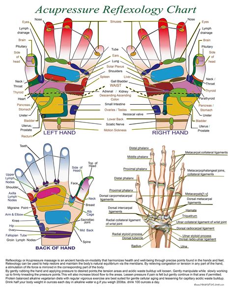 Acupressure Reflexology Chart With Precise Hand Diagrams Professional
