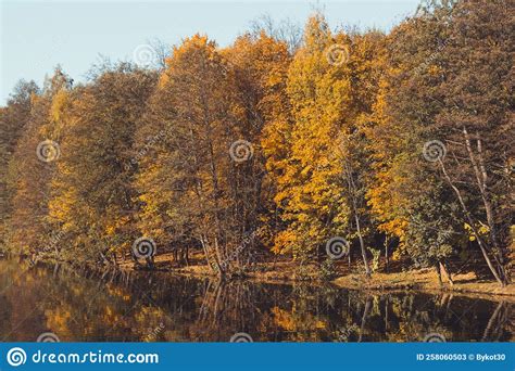 Autumn Landscape With Yellow Trees And A River Seasons Stock Image