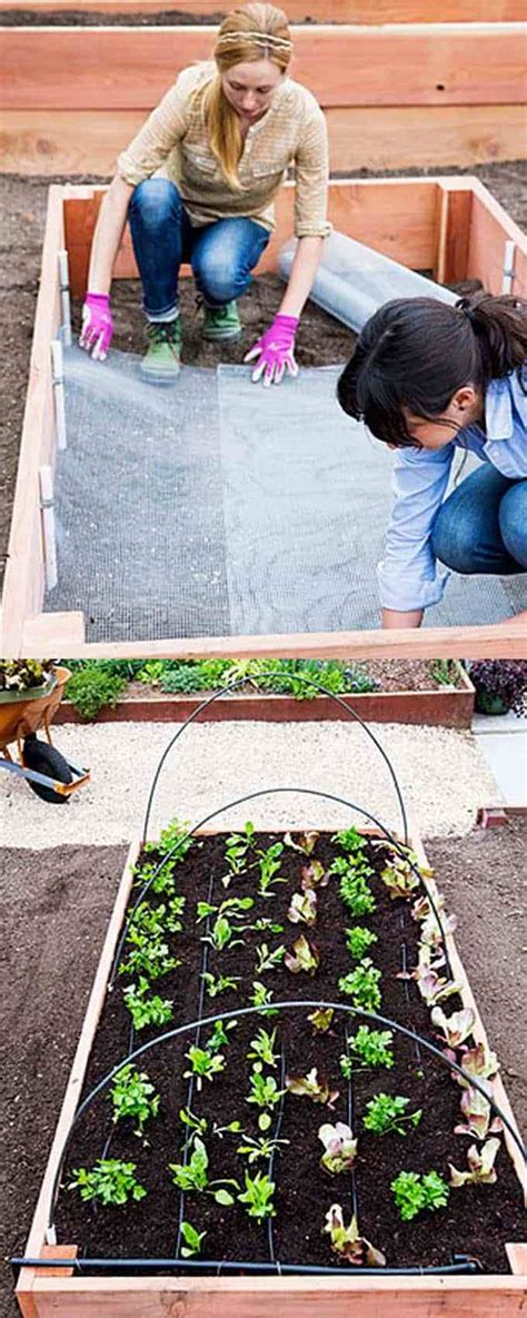 46 Simple Raised Vegetable Garden Bed Ideas 2020 Garden
