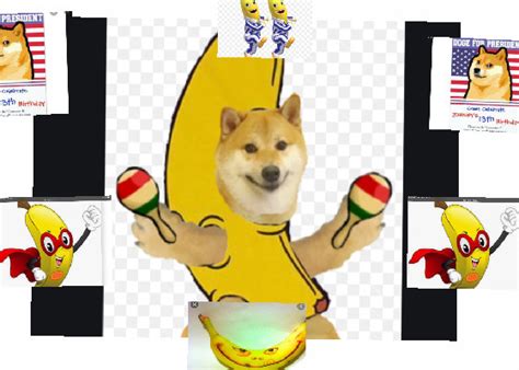 Little Doge In A Banana Has A Seziure Tynker