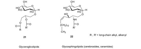 Structure Of Natural Glycolipids Download Scientific Diagram