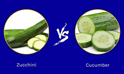 Zucchini Vs Cucumber Whats The Difference Wikipedia Point