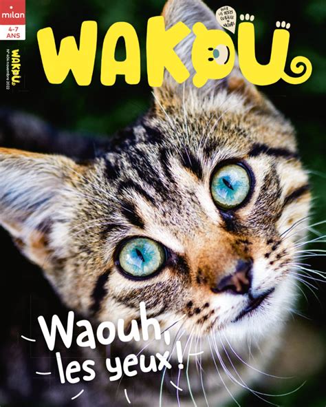 Abonnement Magazine Wakou Au Meilleur Prix