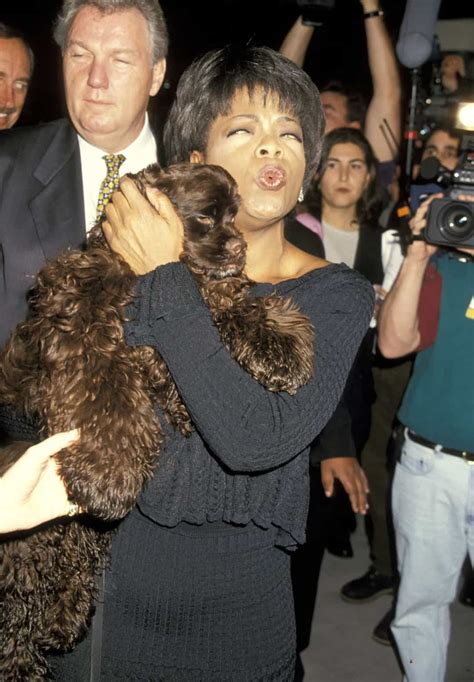 Discover The Most Tragic Celebrity Pet Deaths