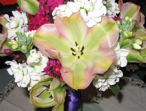 Buy flowers online in melbourne, roses, lilies, tulips, mixed the flowers arrived plump and fresh. Pin on Fresh cut flowers!