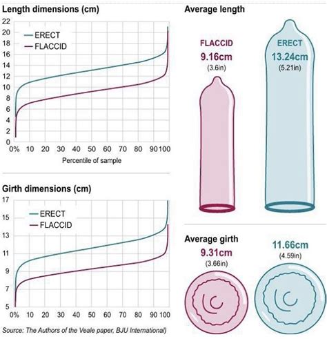 Average Penis Jamohn