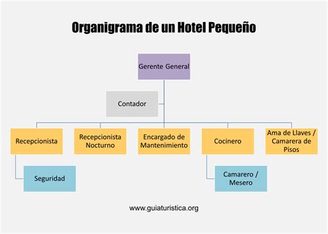 Organigrama De Un Hotel Y Sus Funciones 2022