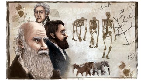 Las TeorÍas De La EvoluciÓn De Las Especies