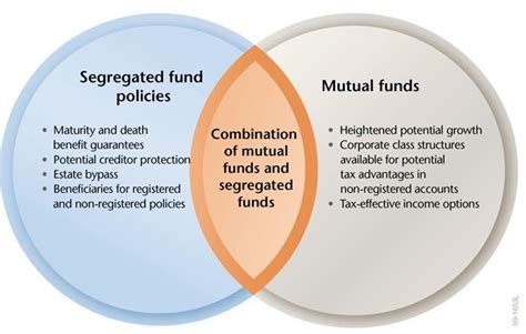 Stocks Vsmutual Funds Venn Diagram