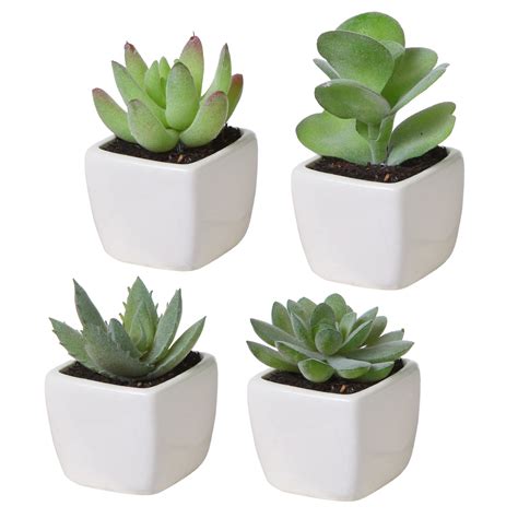 Mini Assorted Green Artificial Succulent Plants In Square White Ceramic