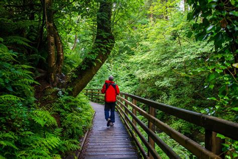 Glenariff Forest Park Walks 4 To Try In 2023