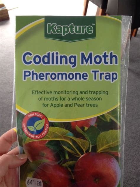 The pheromone of most moths has from 2 to 6 components. Codling Moth Pheromone Trap Apple Trees NZ. I fitted the ...