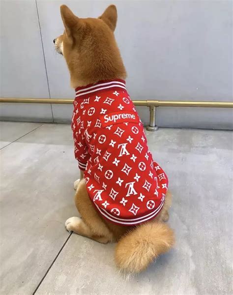 Lv Supreme Dog Clothes Iucn Water