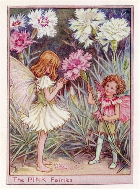 The Pink Fairies Flower Fairy Vintage Print 1950s Cicely Etsy In