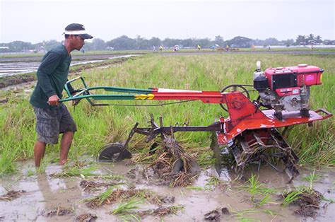 Rice Fund To Hike Farm Mechanization Level Businessmirror