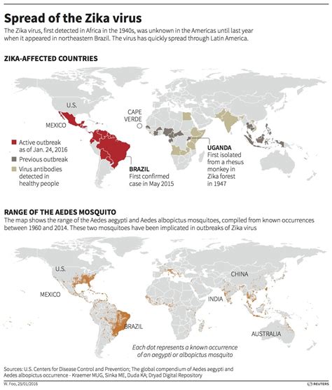 Zika Virus Mosquitoes And Travel Patterns Will Determine Spread Of Virus