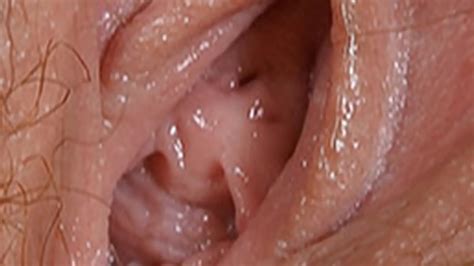 HD P Female Textures Push My Pink Button HD PVagina Close Up Hairy Sex Pussyby