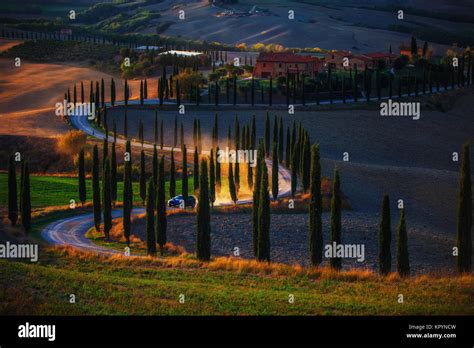 Tuscany Rural Sunset Landscape Countryside Farm Cypresses Trees