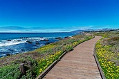 11 San Luis Obispo Beaches To Visit Now
