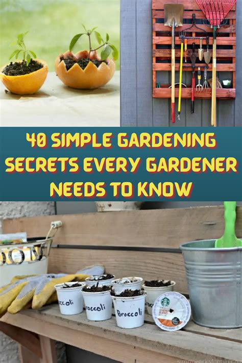 40 Best Kept Gardening Secrets Every Serious Gardener Ought To Know In