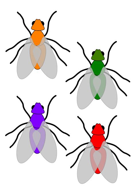 Fly Clipart
