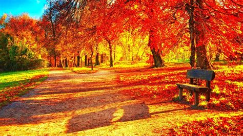 Hd Fall Colours Wallpapers 48 Images