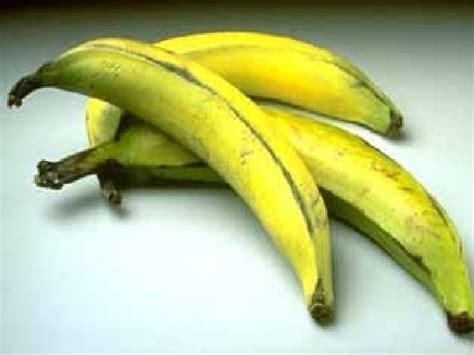 Cultura Da Banana Bot Nica E Variedades Ordem