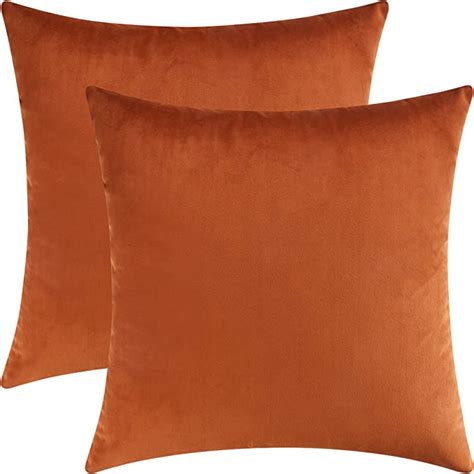 Mixhug Set Of 2 Cozy Velvet Square Decorative Throw Pillow