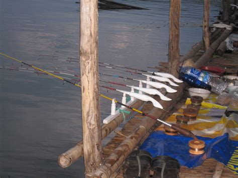 Karena biasanya memancing kakap putih / barramundi ini dilakukan sore atau malam. Cara Mancing Ikan Lele Di Sungai