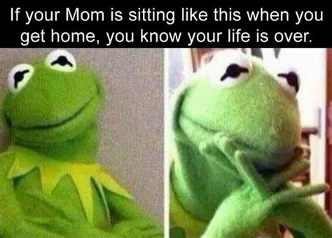 30 Best Of The Thats None Of My Business Kermit Meme