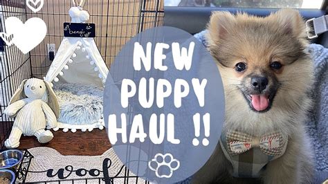 New Puppy Haul Update Homegoods Amazon Petco Youtube