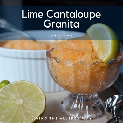 Vegan Lime Cantaloupe Granita Living The Allergy Way