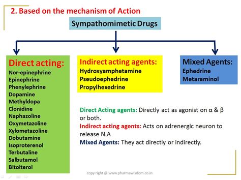 Drugs Acting On Autonomic Nervous System Sympathomimetic Agents