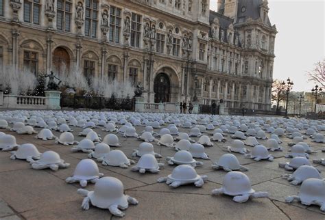 Beach Combing Magpie Turtles Of Peace In Paris Les Tortues De La