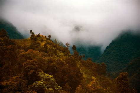 Free Images Landscape Tree Nature Forest Rock Wilderness Cloud