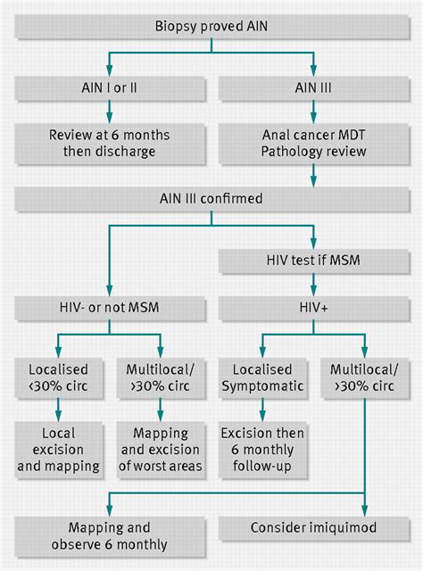 Diagnosis And Management Of Anal Intraepithelial Neoplasia And Anal