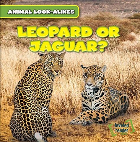 Jaguar Books For Children Rainforest Unit Study