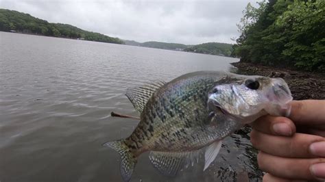 Spring Crappie Bank Fishing Tips Youtube