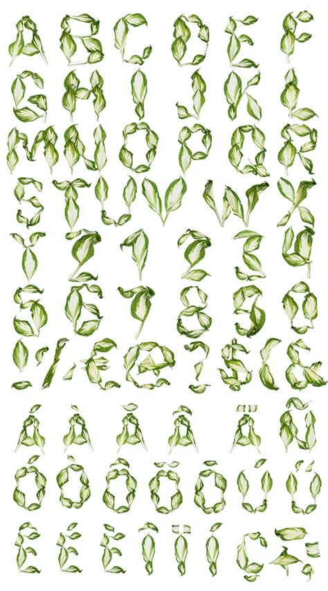 Pipal Leaves Font Alphabet Nature Font Alphabet Writing Hand