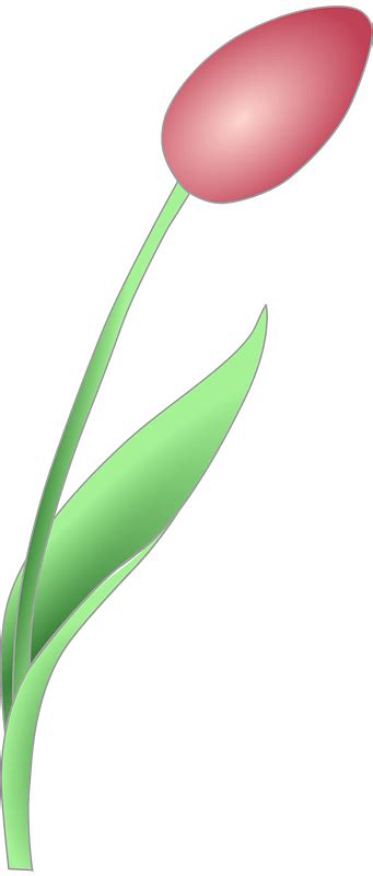 Pink Flower Bud On The Stem Clipart Free Download Transparent Png