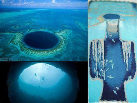 Discovered A Giant Blue Hole In The Ocean But What Is Hidden In It Is