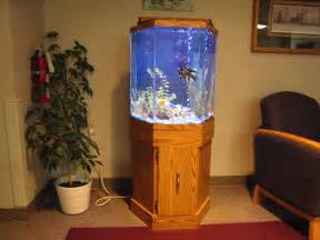 35 Gallon Fish Tank Dimensions Fish Tank Related Keywords 