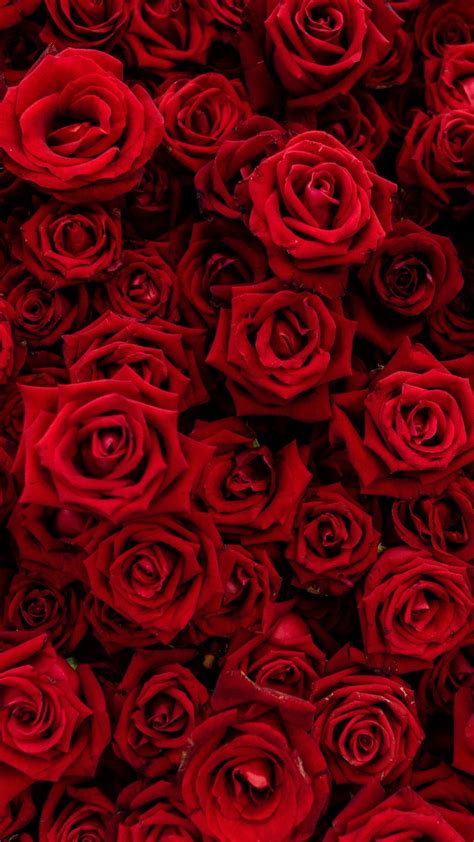 Rose Bouquet Flowers Red 1080x1920 Wallpaper Red Wallpaper Dark