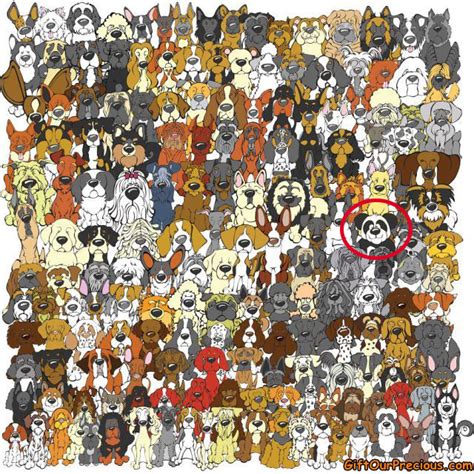 Find The Panda Picture How Fast Can You Spot All 10 Pandas T Our