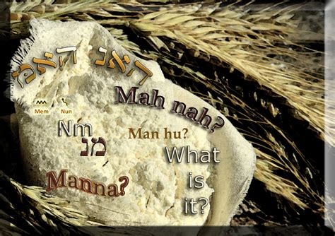 What Is Manna Anyway What Does It Have To Do With Ancient Hebrew