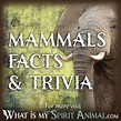 Mammal Facts | Mammals Trivia, Movies & Songs