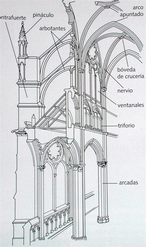 Estructura De Una Catedral Gótica 1205×2038 Arquitectura
