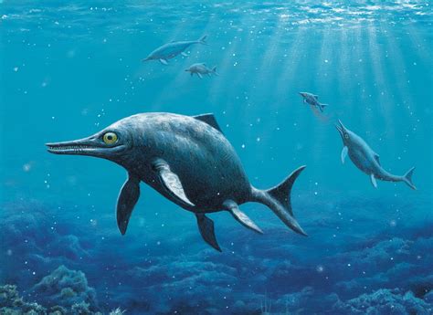 How Giant Marine Reptiles Terrorized The Ancient Seas Nature News And Comment