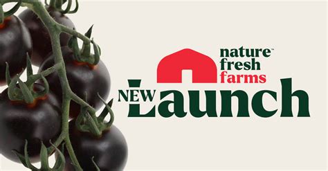 Nature Fresh Farms Debuts Yoom® Tomatoes Matt Quiring Shares Andnowuknow
